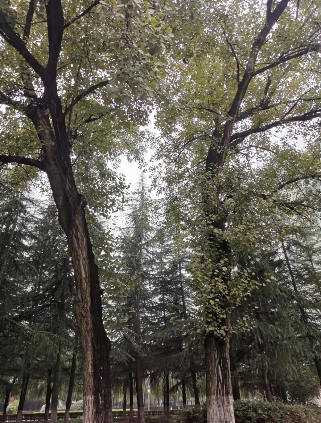 //www.kacrwang.com/__local/B/02/B3/A3B9A45414EBB5C2B09ECD7348F_BA552151_DCD5E.jpg